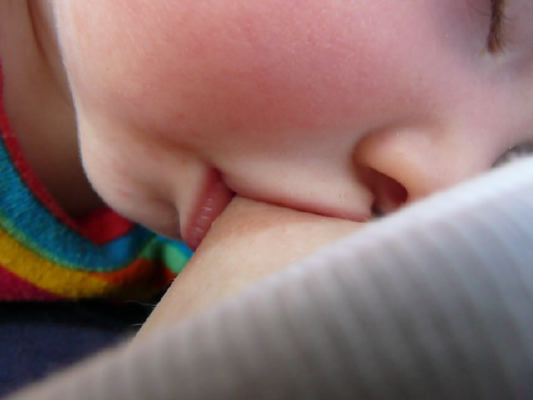 tétée allaitement naturel breastfeeding shell baby bebe nacre