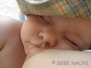 breastfeeding baby allaitement bebe coquillage shell crevasse
